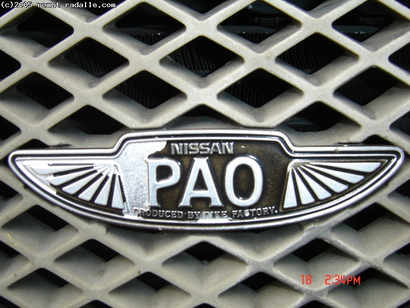 Nissan PAO