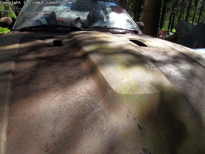Patti konepellissä 280ZX Datsun