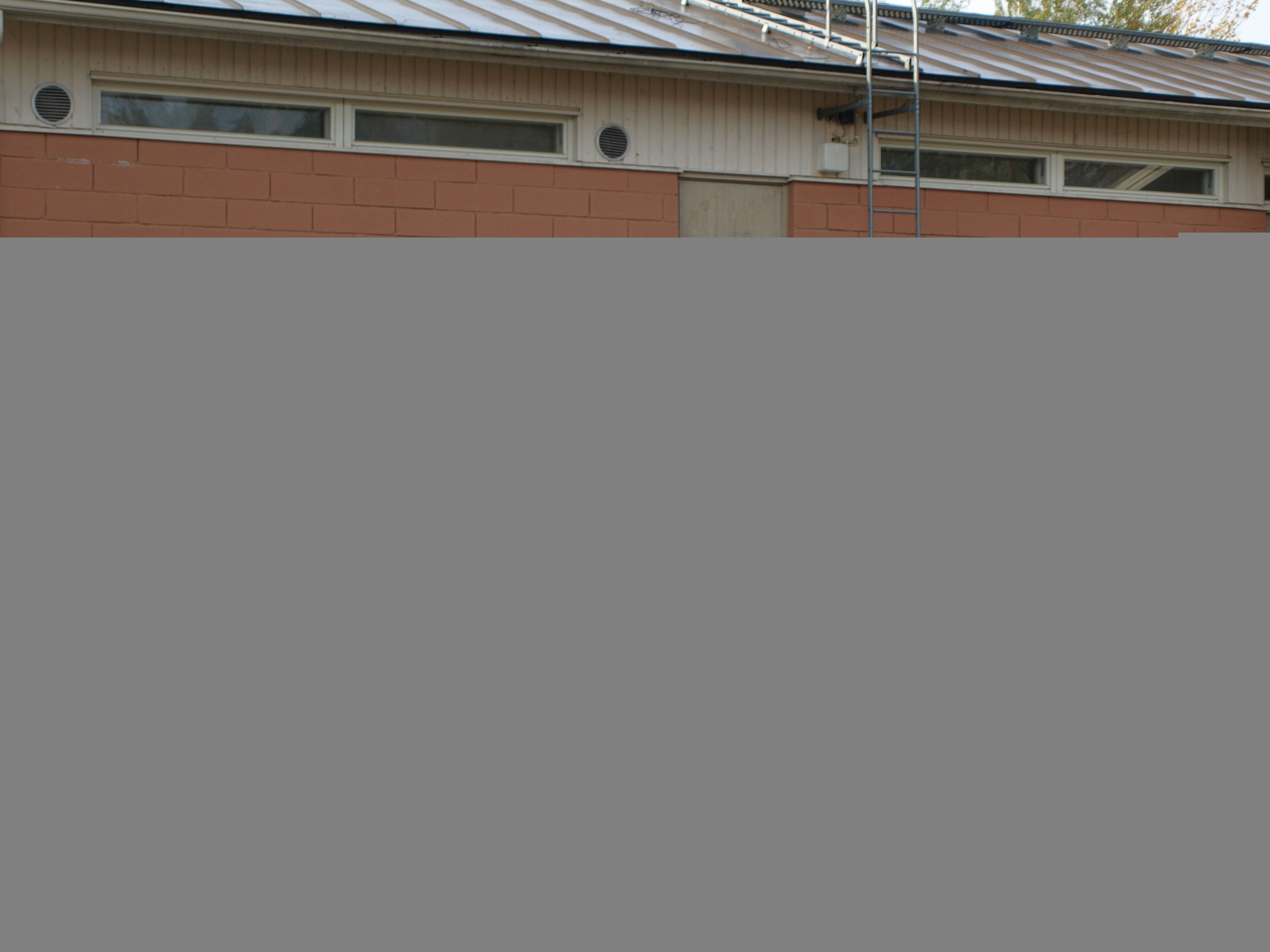 X-Treme ratapÃ¤ivÃ¤ 3.6.2006 Ahvenisto, Punainen Mitsubishi Evolution