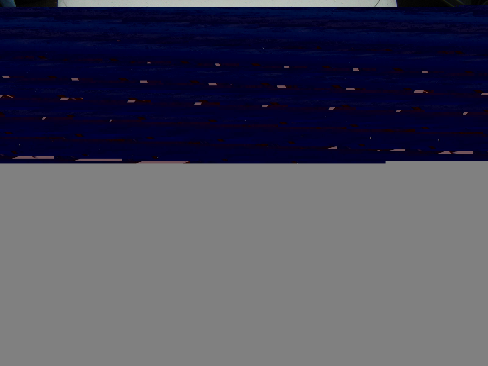 Romuralli Helsinki 2.9.2007, Marge & Maggie Simpson