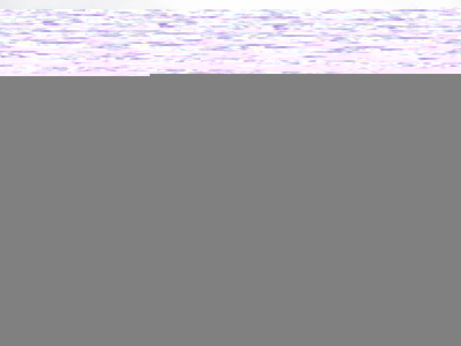 Radalle.com Botniaring 29.8.2009