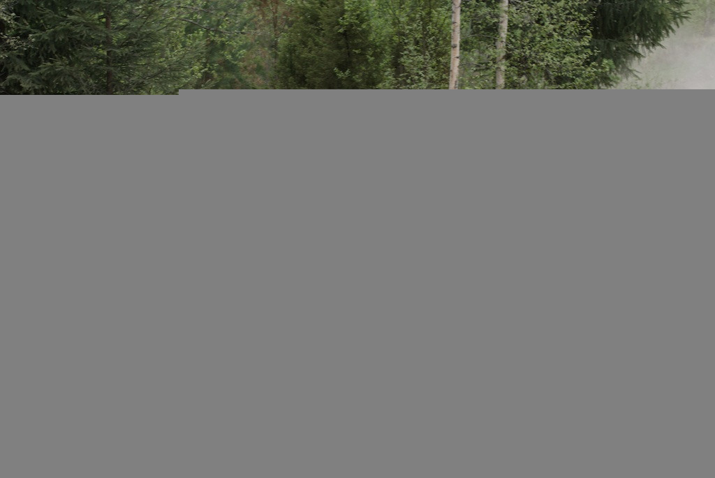 Black Rocket ralli 18.5.2013 Janakkala